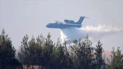 Пожарный самолет потерпел крушение в Турции: 8 человек погибли