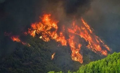 Пожежа поблизу Афін: затримали ймовірних паліїв