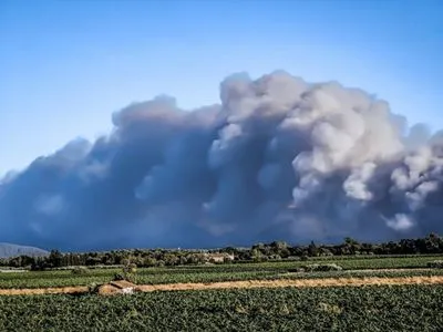 На юге Франции вспыхнул масштабный лесной пожар: эвакуированы тысячи жителей