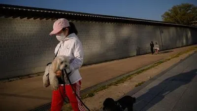 Південна Корея надасть тваринам юридичний статус для боротьби з жорстоким поводженням