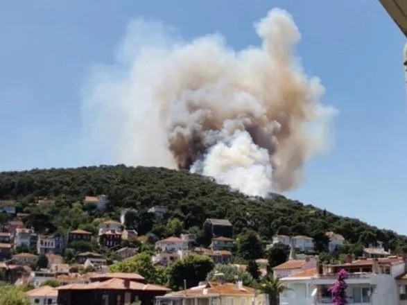 У Туреччині спалахнула нова лісова пожежа. Цього разу на острові біля Стамбула
