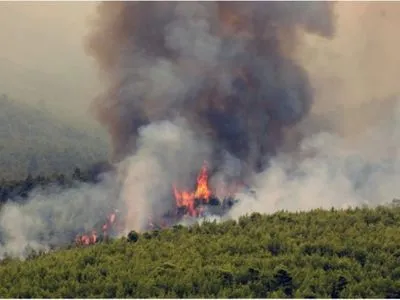 Нова пожежа на грецькому острові Евбея: евакуйовано три населені пункти