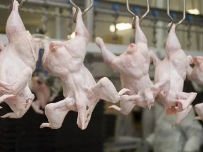 В Украине обанкротился один из крупнейших производителей курятины