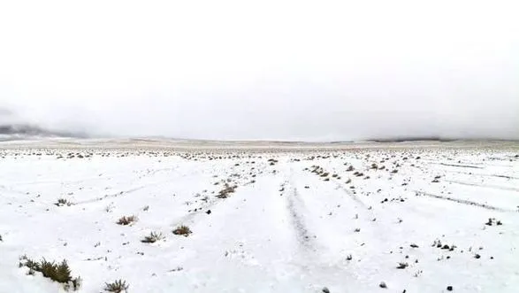 Історичний снігопад: у пустелі Атакама випав сніг