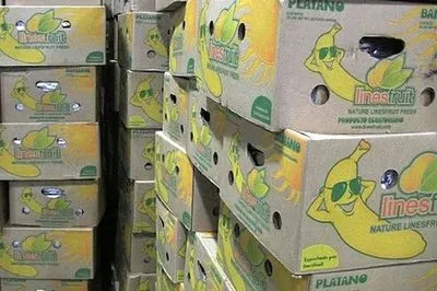 Черногория изъяла более тонны кокаина в партии бананов