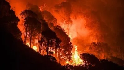 Пожежі в Італії: Рада міністрів країни ввела режим НС в постраждалих регіонах