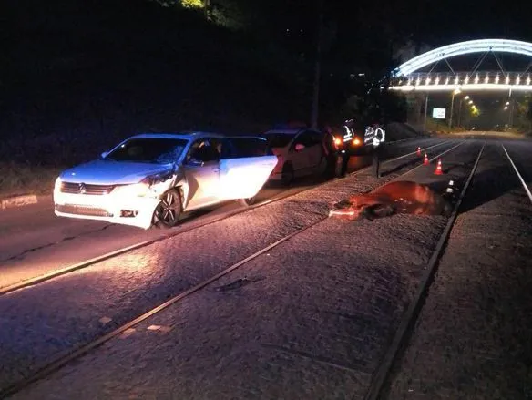 В Харькове машина сбила женщину на лошади: животное погибло