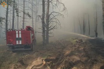 Під Сєвєродонецьком на Луганщині загорівся ліс