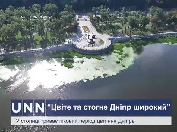 "Цветет и стонет Днепр широкий": в Украине продолжают загрязнять самую большую реку