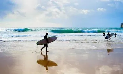 Нападение акулы у австралийского пляжа: погиб молодой серфер