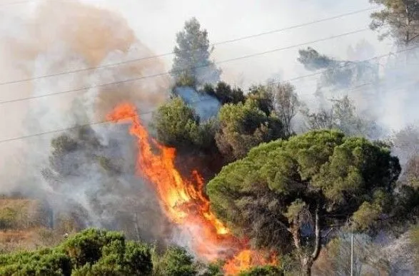 В Іспанії через умисний підпал горять ліси: знищено 1000 гектарів