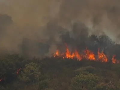Лесные пожары в Испании: эвакуировали более 900 человек, есть погибший