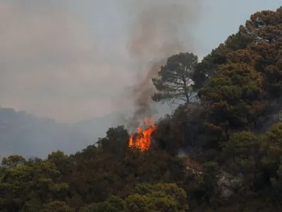 На юге Испании горят леса: эвакуировали более 400 человек