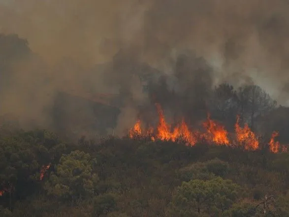 Пожежі на півдні Іспанії тривають: згоріло понад 7 тис. гектарів