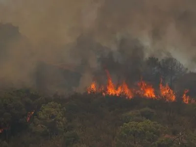Пожежі на півдні Іспанії тривають: згоріло понад 7 тис. гектарів