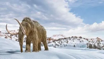 Вчені хочуть "оживити" шерстистого мамонта: кажуть, що вони зупинять глобальне потепління