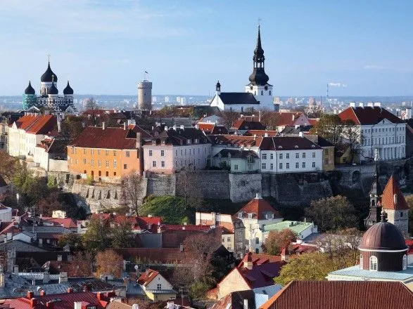 Мовний департамент Естонії вимагає пояснення від місцевої партії за агітацію російською мовою
