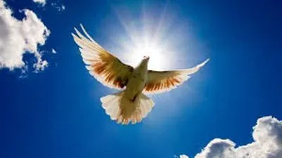 21 вересня відзначають Міжнародний день миру