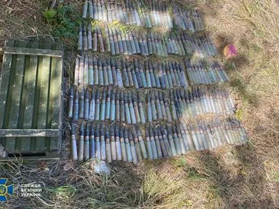 Спрятали для диверсии: в Луганской области обнаружили два схрона со взрывчаткой и минами