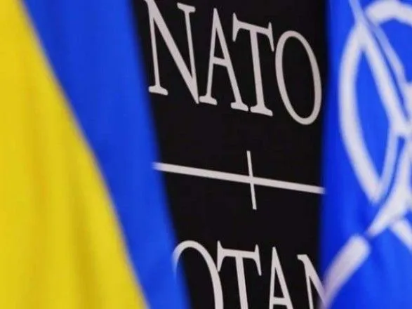 Кристина Квин сказала, когда Украина станет членом НАТО