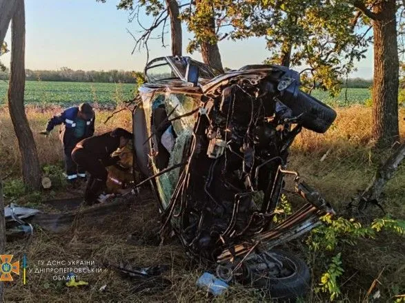 Загинув дорогою до лікарні: на Дніпропетровщині чоловік на авто протаранив дерево