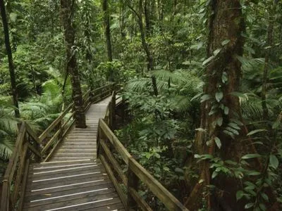 Австралійські тропічні ліси Дейнтрі повернули корінному населенню