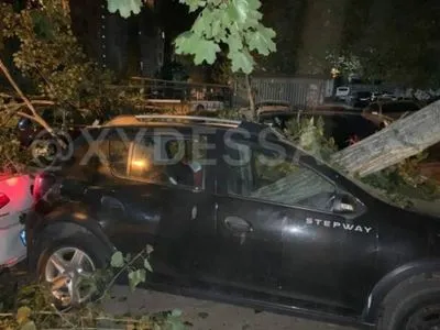 Гілка, що впала з дерева, пошкодила 7 автомобілів в Одесі