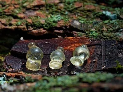 На Полтавщині археологи знайшли унікальні скляні підвіски