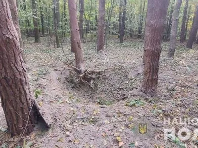 На Буковине мужчина в лесу искал исторические ценности и подорвался на артиллерийском снаряде