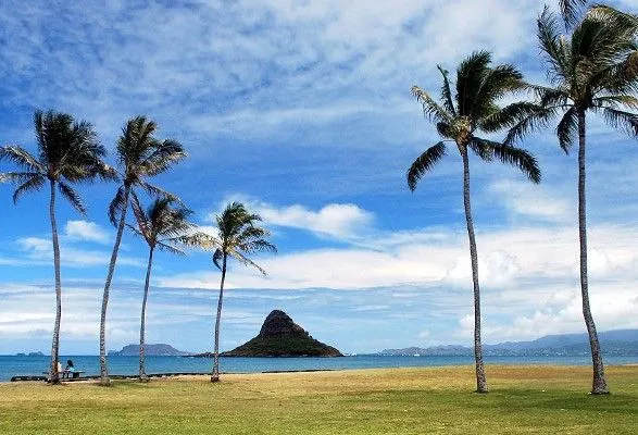 На Гавайских островах произошло землетрясение магнитудой 6,2