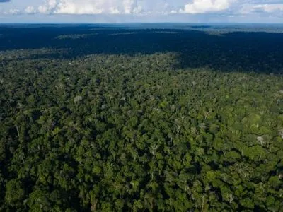 Facebook заборонить продаж землі тропічних лісів Амазонки на Marketplace