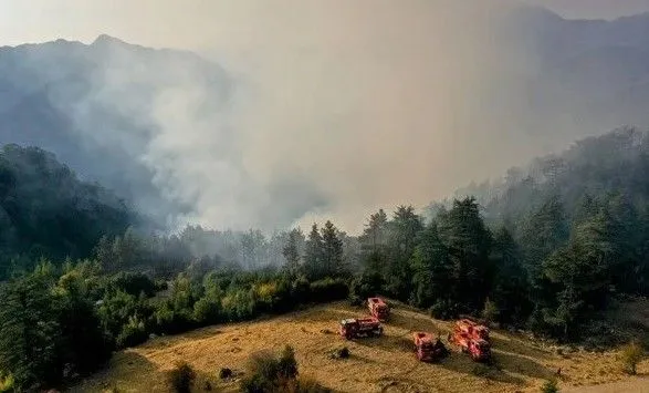 Турецький Кемер охопили лісові пожежі