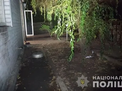 Держали пять бойцовских собак: в Харькове женщину загрызли в собственном дворе