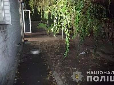 Держали пять бойцовских собак: в Харькове женщину загрызли в собственном дворе