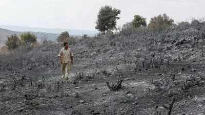 Сирія стратила 24 людини за підпал смертельних лісових пожеж в 2020 році