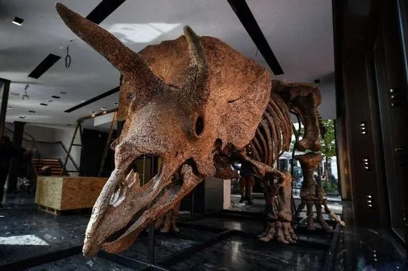 skelet-naybilshogo-v-istoriyi-tritseratopsa-prodali-za-rekordni-6-6-mln-yevro