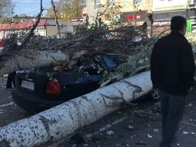 Штормовой ветер повалил деревья в Одессе