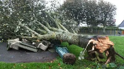 Потужний шторм "Аврора" обрушився на Західну Європу: сильний вітер повиривав дерева з корінням та позривав дахи з будинків
