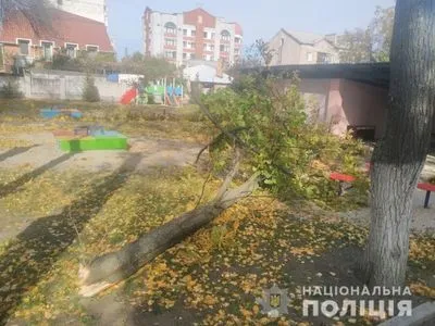 В детском саду Кременчуга на двух детей упало дерево