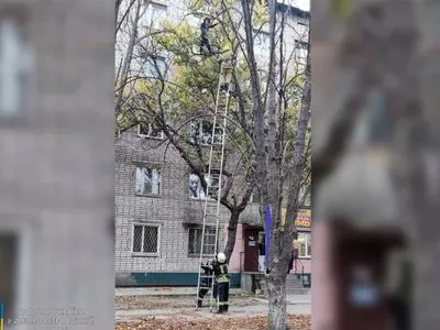 Находилась на уровне 4-го этажа: в Никополе спасатели сняли с дерева беременную женщину