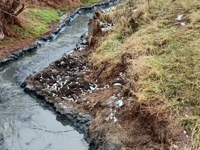 Чиновников водоканала заподозрили в сбросе отходов в реку Ингул: содержание нитратов превышено в 13 раз