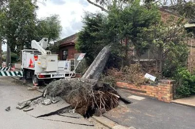 Шалений вітер в Австралії позривав дахи, повалив дерева та залишив без світла понад 450 тисяч будинків
