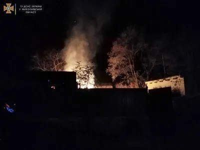 Во время пожара в Николаевской области выгорело пять тонн сена
