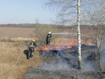 Правительство предлагает разрешить пожарным штрафовать украинцев за сжигание травы