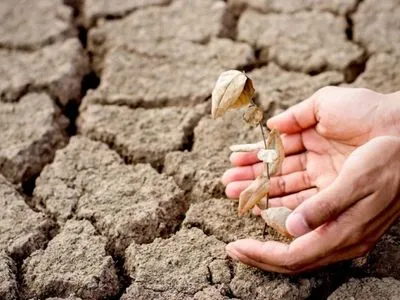 Изменения глобального климата влияют на увеличение засухи в Украине