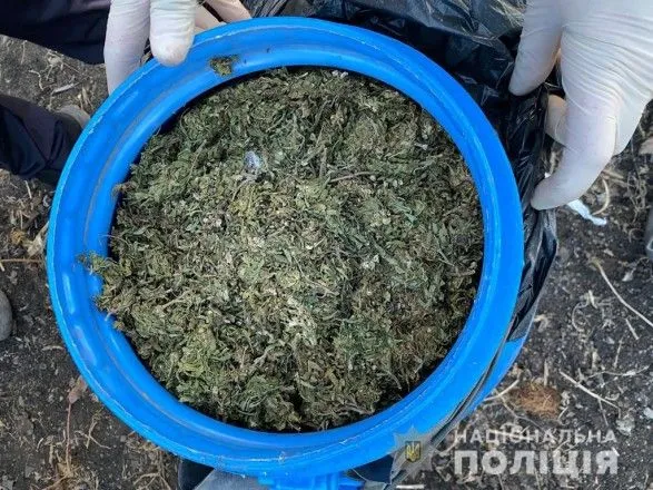 Пять пластиковых бочек и 12 полиэтиленовых пакетов: на Буковине у мужчины нашли каннабиса почти на 3 миллиона гривен