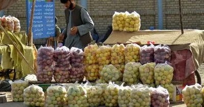 Афганістан перебуває на межі "економічного колапсу"