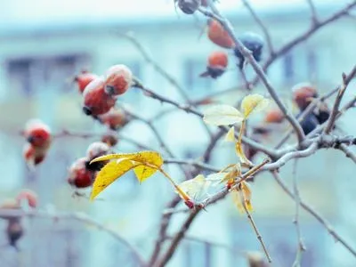 В Украину идет похолодание: мороз прогнозируют и днем