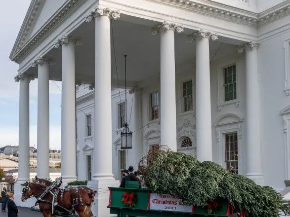 На візку із кіньми: до Білого дому привезли різдвяну ялинку