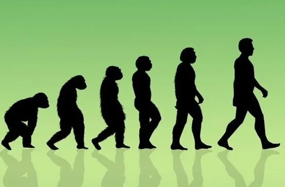 24 листопада відзначають Міжнародний день еволюції